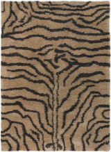 Amazon Collection by Chandra