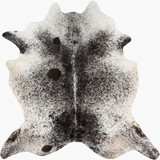 Easton Collection by Surya