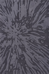 Bliss Collection by Momeni