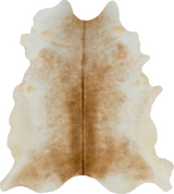 Patagonia Collection by Surya