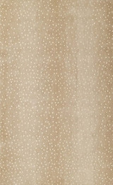 Woodland Collection by Momeni