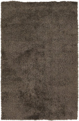 Oyster Collection By Chandra