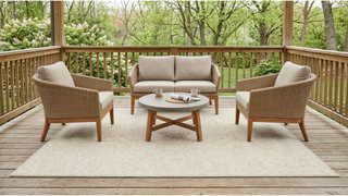 Area Rugs For Sale | Shop Modern Rugs Online | Best Discount Rugs ...