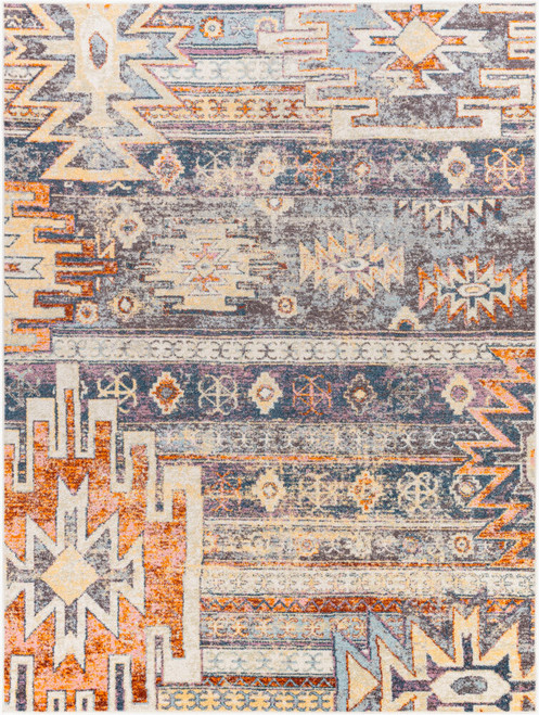 LivaBliss New Mexico NWM-2310 Rug