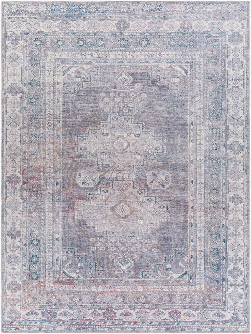 Livabliss Colin CLN-2304 Rug