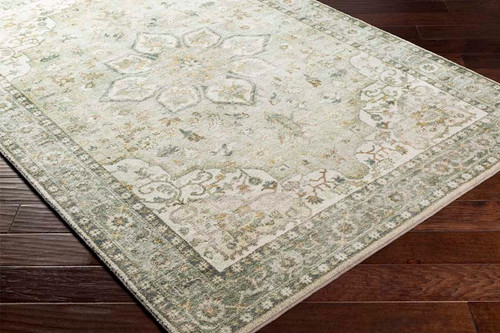 Livabliss Erin ERN-2310 Rug