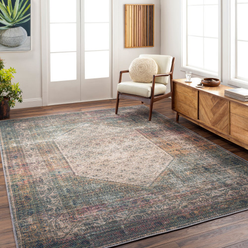 Livabliss Colin CLN-2311 Rug