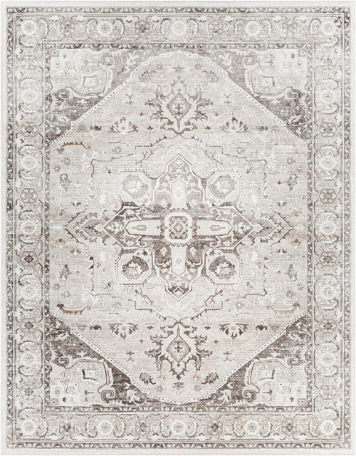 Livabliss Allegro ALG-2325 Area Rug