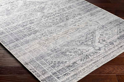 Livabliss Amelie AML-2381 Area Rug