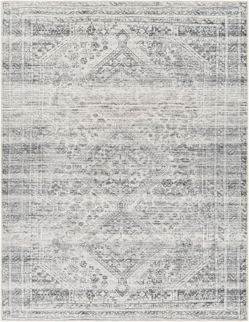 Livabliss Amelie AML-2381 Rug