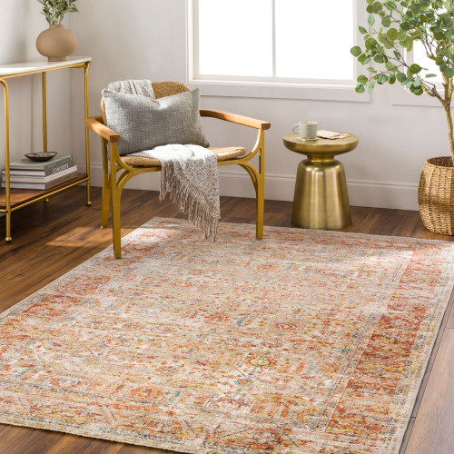Livabliss Aspendos APS-2311 Area Rug