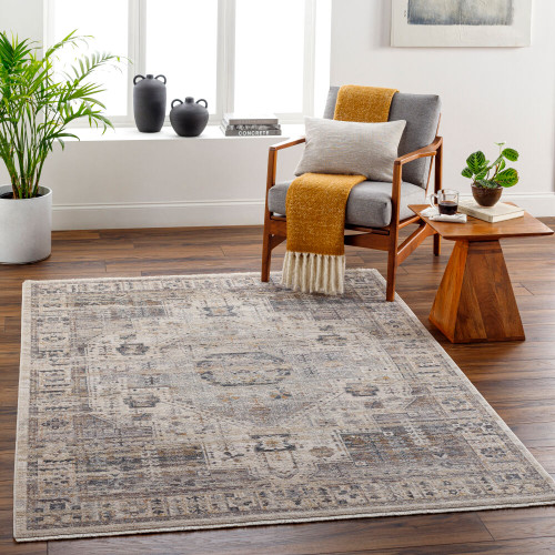 Livabliss Aida AAD-2307 Rug