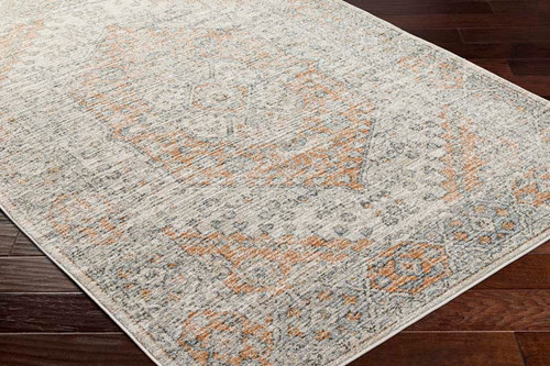 LivaBliss Alpharetta APH-2309 Rug