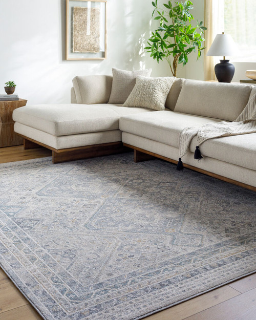 Livabliss Alpharetta APH-2311 Rug