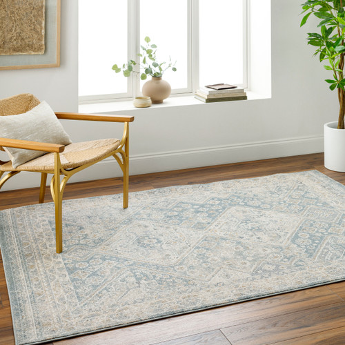 LivaBliss Alpharetta APH-2312 Rug