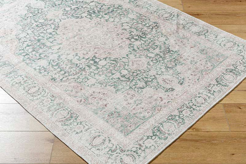 Livabliss Amelie AML-2393 Rug