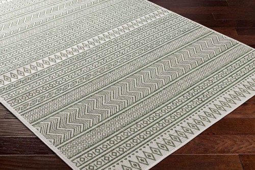Livabliss Eagean EAG-2425 Rug