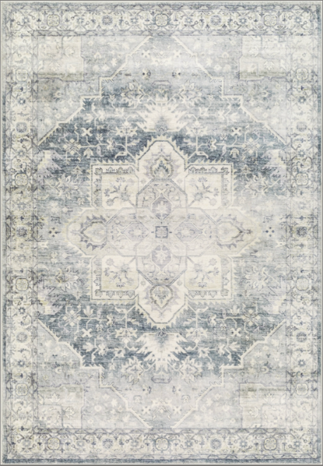 Livabliss Erin ERN-2318 Rug
