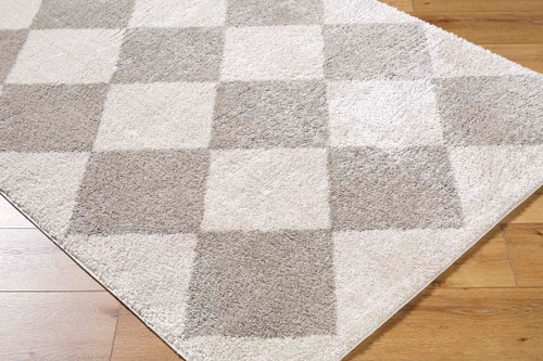 Livabliss Fossay Shag FSG-2327 Rug