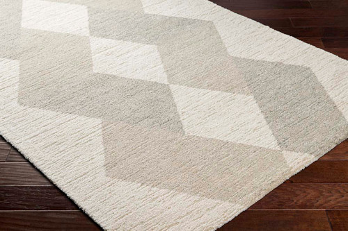 Livabliss Gavic GVC-2317 Rug