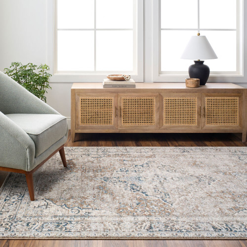 Livabliss Montreal MTR-2302 Rug