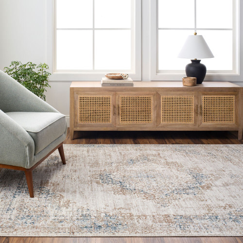 Livabliss Montreal MTR-2305 Rug