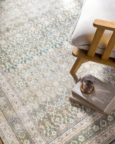 Livabliss Rainier PNWRN-2304 Rug