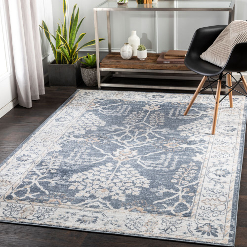 Livabliss St Tropez SRZ-2310 Rug