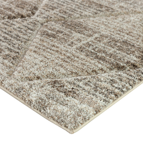 Dalyn Carmona CO8 Driftwood Rug