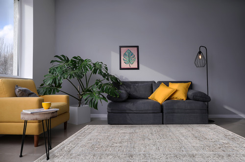 Dynamic Bliss 17587 890 Beige Grey Rug