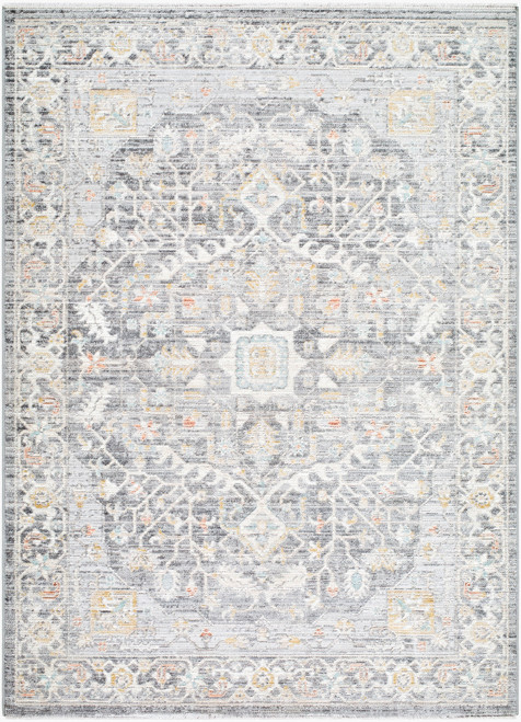 Livabliss Amir AMR-2303 Rug