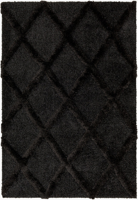Livabliss Hudson Shag HDS-2300 Rug
