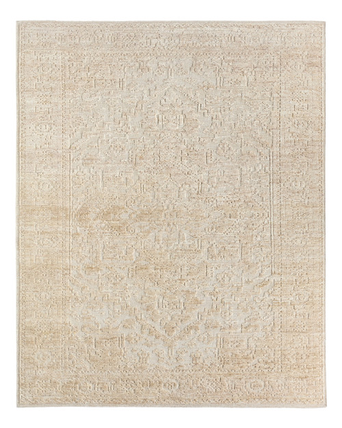 Jaipur Living Aposio APS01 Pranhita Rug