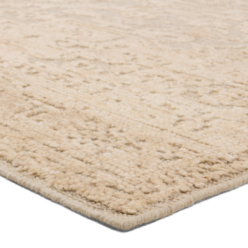 Jaipur Living Aposio APS01 Pranhita Rug