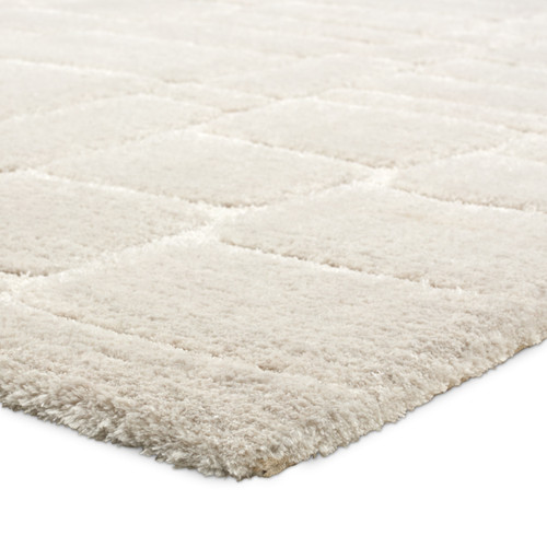 Jaipur Living Tazeka TAZ04 Arthes Rug