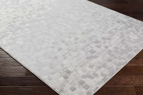 Livabliss Contempo CPO-3843 Rug