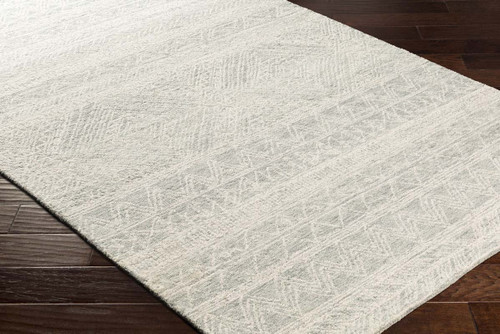 Surya Newcastle NCS-2312 Rug