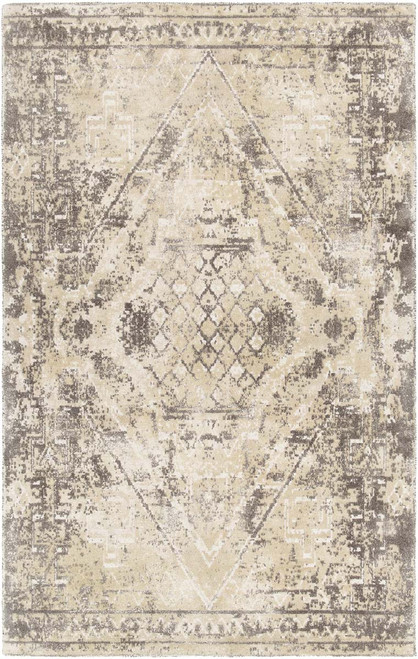 Chandra Tayla TAY-42405 Rug
