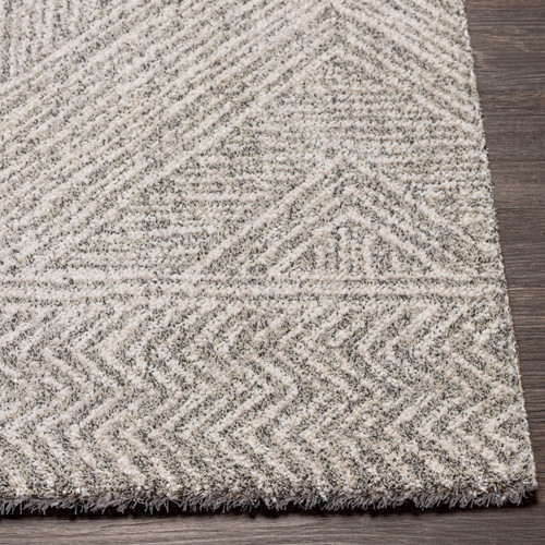 Livabliss Gavic GVC-2310 Area Rug