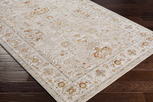 Surya Avant Garde AVT-2319 Rug