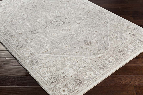 Livabliss Allegro ALG-2324 Area Rug