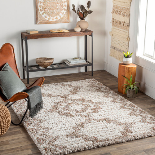 LivaBliss Capella shag CPS-2305 Area Rug
