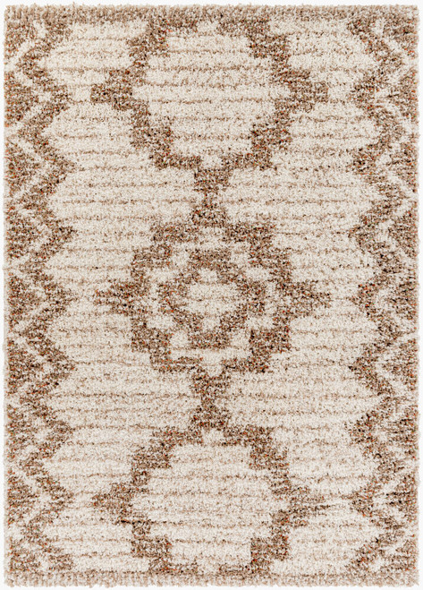 LivaBliss Capella shag CPS-2305 Area Rug