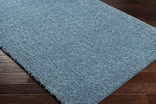 Surya Deluxe Shag DXS-2325 Area Rug