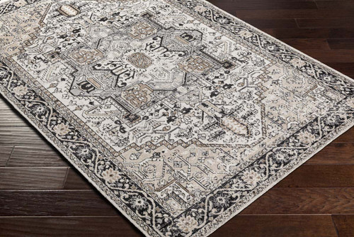 LivaBliss Lavadora LVR-2322 Area Rug