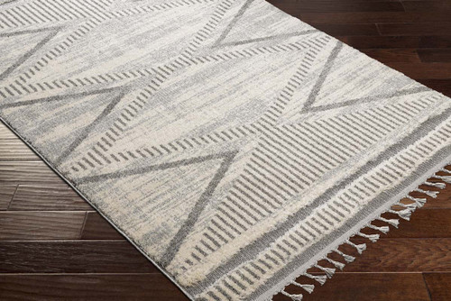 LivaBliss Sousse SUS-2300 Area Rug