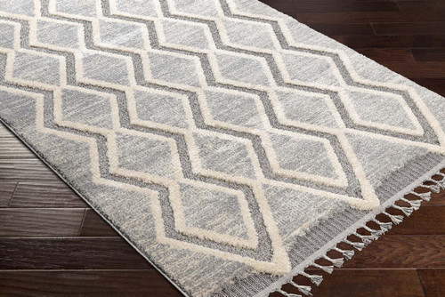 LivaBliss Sousse SUS-2301 Area Rug