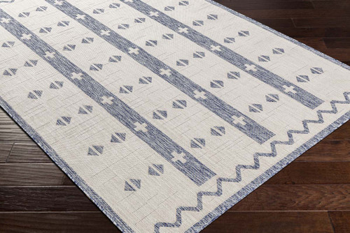 Livabliss Tuareg TRG-2308 Area Rug