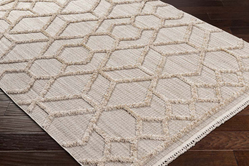 Livabliss Zaragoza ZRZ-2309 Rug