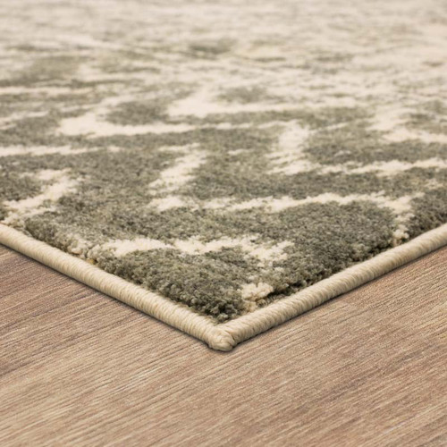 Karastan Touchstone 91231 90075 Le Jardin Willow Grey Rug